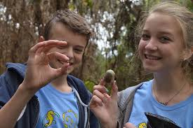 PHOTO GALLERY: SBEP Air Potato Removal