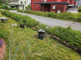 Image result for site:byggahus.se LJUNGBY