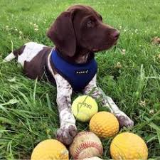 Birddog products are available globally from a dealer near you. Bird Dogs