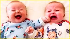 Ice storm and Hilton Head 116