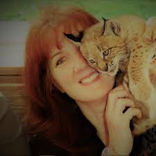 How to evict non-paying tenants in Massachusetts?