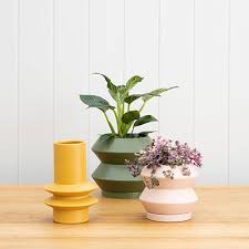 Well you're in luck, because here they come. Potted Online Nz Wholesale Potted