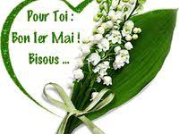 Livré partout en france par un artisan fleuriste, sous 4 heures. Brins De Muguet