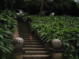 It only require couple o. Sri Lanka Garden Design Inspiration Interior Designs Garden Design Garden Pictures Small Backyard Gardens