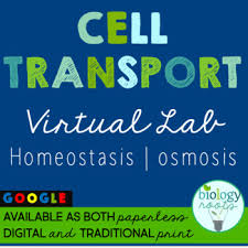Many ap exam questions will provide you lab data in the prompt and ask you questions about the data set. Cell Transport Virtual Lab Supports Distance Learning By Biology Roots