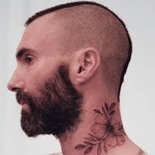 Gray beard adam levine baldwin big beard. Adam Levine Haircut Hairstyles Of American Singer Songwriter How To Style Hair Like Adam Levine In 2020