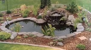 Check spelling or type a new query. Water Garden Foutain Koi Pond Kit Liner Pump 9 X 6 Liner 5 Water Lilies Buy Online In Antigua And Barbuda At Antigua Desertcart Com Productid 31968463