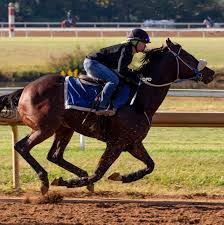 Maybe you would like to learn more about one of these? United Kingdom To Japan To Canada We Have Seen Several Events