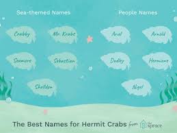 Here is some great information from the fda regarding pet food labels to help you. Clever Names For Pairs Of Pets