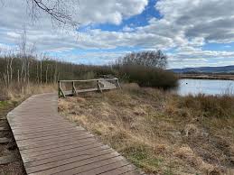 Hille Grosses Torfmoor In 2020 Teutoburger Wald Tourismus Aussichtsturm