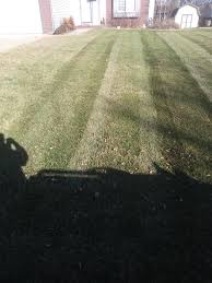 Business management equipment lawn and landscape maintenance lawn care fertilizers and pesticides landscape design & installation irrigation & water management pictures mike blevins said: Top Notch Lawn Care Llc Facebook