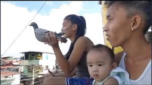 FAMILY BONDING namin ang pag kakalapati 🥰❤️ ung asawa ko ayaw pang bumaba  sa bubong 🤣🤣