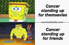 When virgo has spent a hard day working, and overanalyzing and driving themselves up a wall, cancer. 33 Funny Cancer Memes That Reveal The Untold Truth Of Cancerians