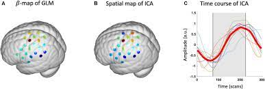 Check spelling or type a new query. Frontiers Nirs Ica A Matlab Toolbox For Independent Component Analysis Applied In Fnirs Studies Frontiers In Neuroinformatics