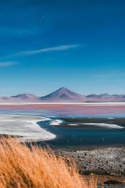 Unlock Global Opportunities: The Ultimate Infusion Set Buyer List