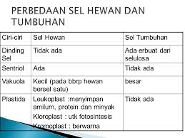 Maybe you would like to learn more about one of these? Metabolisme Sel Ppt Download