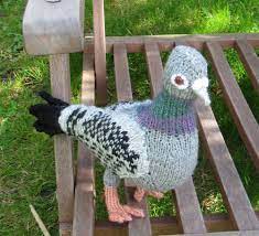 We did not find results for: Sale Instant Digital File Pdf Download My Pet Pigeons Toy Bird Etsy Knitting Patterns Toys Animal Knitting Patterns Knitting Patterns