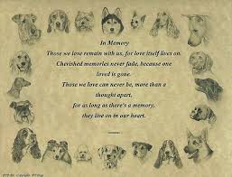 Pet Memorial In Memory Poem Dogs Ebay Pet Memorials Dog Poems Pet Sympathy