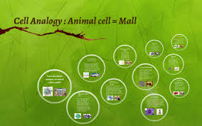 Maybe you would like to learn more about one of these? Cell Analogy Animal Cell Mall By Nabeeha Nadeem On Prezi Next