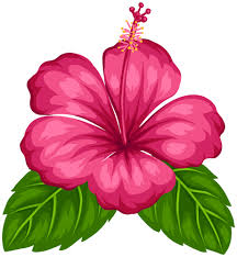 Pin On Tropical