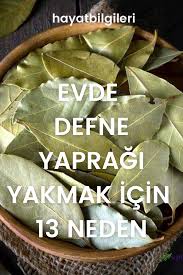 Evde Defne Yapragi Yakmak Icin 13 Neden 2020 Diyet Ipuclari Dogal Dis Beyazlatma Dogal Saglik