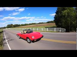 Image result for Avorio 1981 Alfa-Romeo