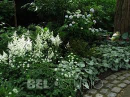 Landscape Gardening Definition Landscape Gardening Leicester Soon Landscape Gardening Glasgow Whenever Landscap Skuggvaxter Vackra Tradgardar Blomstertradgard