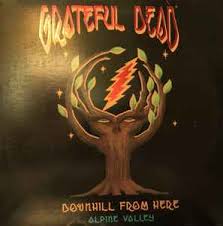 Grateful Dead – Downhill From Here - Alpine Valley – 2 x Laserdisc (12",  Stereo, NTSC), 1997 [r5887338] | Discogs