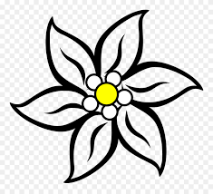 Narcissus Drawing Edelweiss Flower Jpg Stock Edelweiss Clipart Png Download Full Size Clipart 915297 Pinclipart Choose from 30+ edelweiss graphic resources and download in the form of png, eps, ai or psd. narcissus drawing edelweiss flower jpg