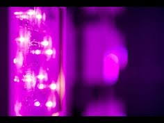 Maybe you would like to learn more about one of these? 29 Grow Lights Ideas Grow Lights Netflix Gift Card Dog Food Brands