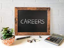 Career Wikipedia
