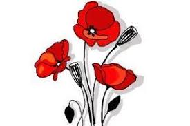 How To Draw A Poppy We Will Be Doing A Simple Flower Image Today And To Be More Specific We Will Provide You Poppy Flower Drawing Poppy Drawing Poppy Painting