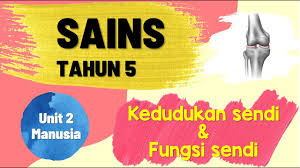 Kedudukan sendi & fungsi sendi (sains tahun 5 unit 2) kssr 2021. Sains Tahun 5 Kssr Semakan 2017 Unit 2 Manusia Kedudukan Sendi Fungsi Sendi Youtube