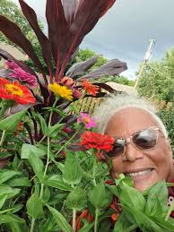 Lost in a maze of Zinnias