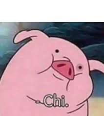 Dopl3r Com Memes Puerquito Diciendo Chi Plantilla