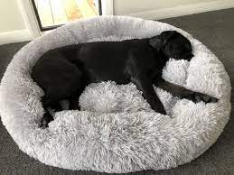 The extra large size is rated up to 120 lbs. Plus Size Large Dog Bed Puppy Bedsdog Beds For Big Dogs Kennel Cat Puppy Sofa Cushion House Kennels Matt Pads Wish Big Dog Beds Cute Dog Beds Portable Dog Kennels