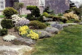 Jars V54n1 Rhododendron Diversity The Challenges Of New England
