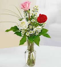 With delicate, lacy clusters of flowers, some with a solitary dark, purple flower in the centre, they make good cut flowers and are a lovely filler with other. Red Pink And White Rose Bud Vase In Sandy Ut Absolutely Flowers
