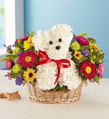 A great gift for someone who has a special dog in their life, and a way to celebrate the most be. A Dog Able In A Basket 1800flowers Com