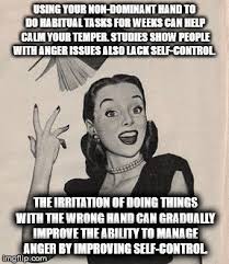 Training Your Anger Imgflip