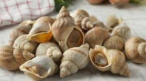 Top 10 Des Meilleurs Fruits De Mer Pour La Sante Infographie Fruits De Mer Bigorneaux Anaca3