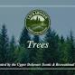 Parks & Recreation "Trees" Nature Program — Lackawaxen