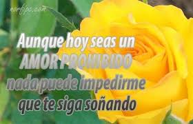 Frases Para Un Amor Oculto A Escondidas Que No Puedo Tener Amor Amor Prohibido Pensamientos De Amor