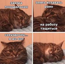Завтра понедельник 🙈😂