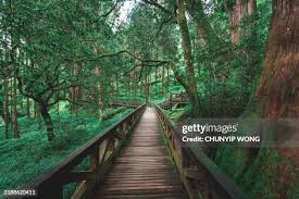 50,198 Taiwan Nature Stock Photos, High-Res Pictures, and ...