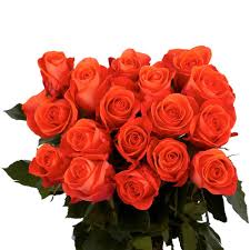 See more ideas about coral color, coral, coral wedding flowers. Coral Rose Color Wild Country Fine Arts