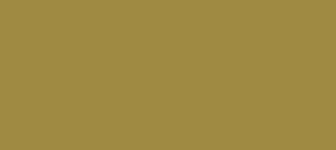 Hex Color 9f8a42 Color Name Luxor Gold Rgb 159 138 66
