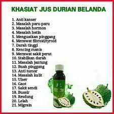 Khasiat dari buah durian belanda ini memberikan kesan anti tumor / kanser yang sangat kuat, dan terbukti secara perubatan menyembuhkan segala jenis kanser. Pl Plus Minuman Durian Belanda 1001 Khasiat Original Fast Shipping Shopee Malaysia