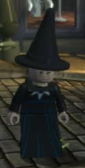 Madame pince appears in most of the harry potter books, as she is the hogwarts librarian. Madam Irma Pince Brickipedia Fandom