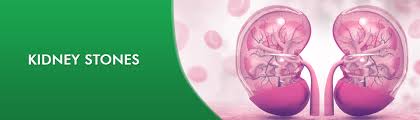 Ayurveda Treatment In Chennai Ayurvedic Kidney Stones Treatment In Chennai